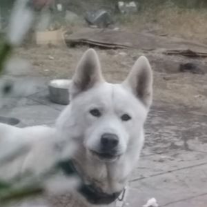 Meet your Posher, Andres